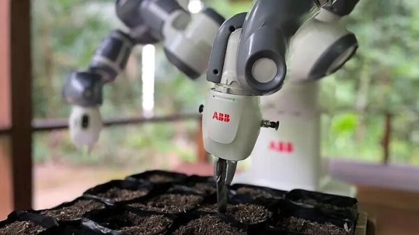 احیای جنگل های آمازون به ربات ها سپرده می گردد
